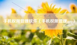 手机权限管理软件（手机权限管理app）