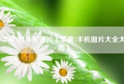 苹果7代手机图片（苹果7手机图片大全大图）