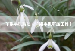 苹果手机解压（苹果手机解压工具）