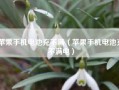 苹果手机电池充不满（苹果手机电池充不满电）