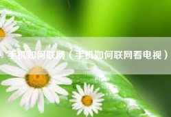 手机如何联网（手机如何联网看电视）