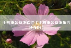 手机重装系统软件（手机重装系统东西还在吗）