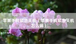 苹果手机紧急关机（苹果手机紧急关机怎么搞）