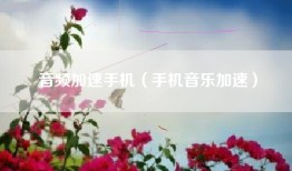 音频加速手机（手机音乐加速）