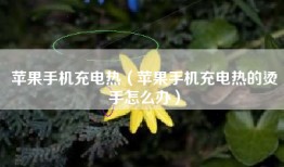 苹果手机充电热（苹果手机充电热的烫手怎么办）