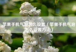 苹果手机气泡怎么设置（苹果手机气泡怎么设置方法）