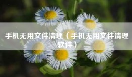 手机无用文件清理（手机无用文件清理软件）