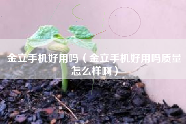 金立手机好用吗（金立手机好用吗质量怎么样啊）