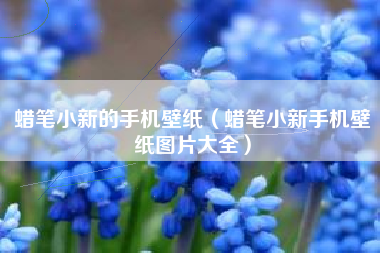 蜡笔小新的手机壁纸（蜡笔小新手机壁纸图片大全）