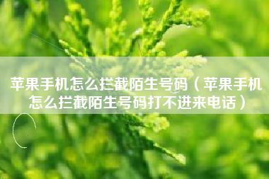 苹果手机怎么拦截陌生号码（苹果手机怎么拦截陌生号码打不进来电话）