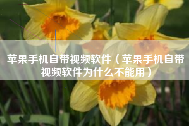 苹果手机自带视频软件（苹果手机自带视频软件为什么不能用）