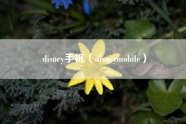 disney手机（disneymobile）