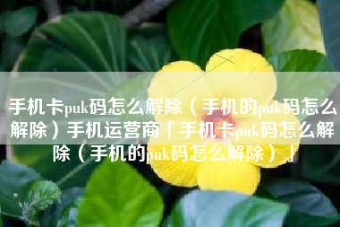 手机卡puk码怎么解除（手机的puk码怎么解除）手机运营商「手机卡puk码怎么解除（手机的puk码怎么解除）」