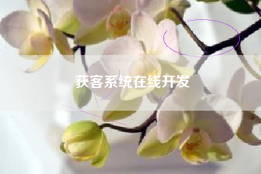 获客系统在线开发